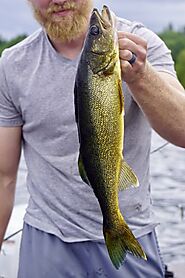 Best Fishing Line For Walleye of 2022: Top 12 Picks - Fishingtel.com
