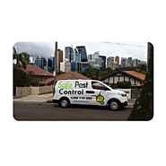 Pest Control Sydney Team