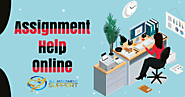 Trust Expert Assignment Help Service For Great Quality Timely Submissions