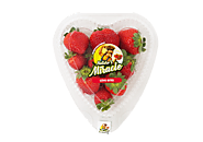 Hydroponics Strawberries | Nature's Miracle