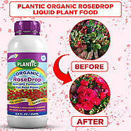 Plantic RoseDrop Organic Rose Liquid Fertilizer