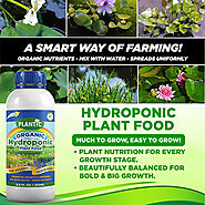 Plantic Organic Hydroponic Plant Food Liquid Fertilizer For Water & Soilless Plants