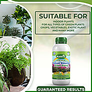 Plantic Organic Water Soluble Indoor Booster Plant Food