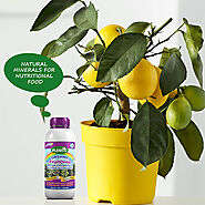 Plantic FruitDrop Liquid Fertilizer For Fruit Plants