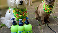Shop for the Best Smelling Dog Shampoo and Conditioner Online