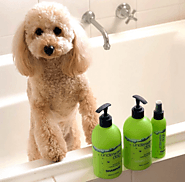 Best dog shampoo for dry sensitive skin online