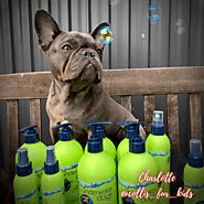 Best puppy shampoo and conditioner online