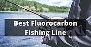 Best Fluorocarbon Fishing Line In 2022 - Fishingtel.com