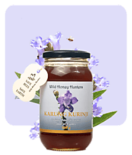 Karung Kurinji Honey Online in India - Wild Honey Hunters