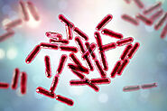 Harmless Bacillus subtilis