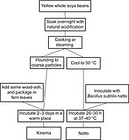 Natto - an overview | ScienceDirect Topics