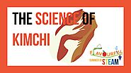 The Science of Kimchi Fermentation - Science - Flavourful Summer of STEAM