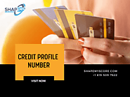 Credit Profile Number Service