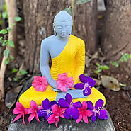 Zen Buddha Sunshine Yellow – Peacock Life by Shabnam Gupta