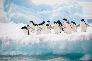 Penguin 2.0: How Guest Blogging Will Be Affected