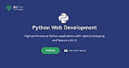 Best Python Development Company - BoTree Technologies