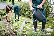 How Beneficial is Landscaping Services in Toronto?