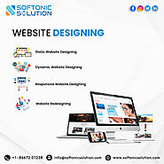 Custom Website Designing Company In Virginia USA