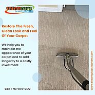 Professional Carpet Cleaning Service In Sugar Land TX