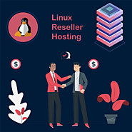 Linux Reseller Hosting | Buy the Best Reseller Web Hosting Plans