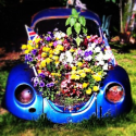 The World's Top 10 Best Images of Volkswagen Beetles in Gardens