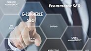 How SEO Can Help to Grow Your Ecommerce Business and Brand Value? - Amir Articles