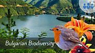 Bulgaria is the 3rd BIGGEST biodiverse country in Eastern Europe!