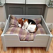 Premium Wooden Dog Homes Online in India