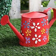 Looking for Watering Can for Plants Online? Get one at WoodenStreet