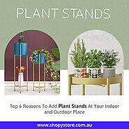 Top 6 Reasons To Add Plant Stands At Your Indoor and Outdoor Place