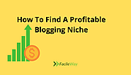 How To Find A Profitable Blogging Niche in 2022 [Effective Tips]