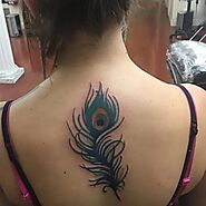150+ Feather Tattoo Design Ideas With Meanings for Men and Women