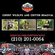 #1 Pest Control Service in San Antonio, TX | Critter One