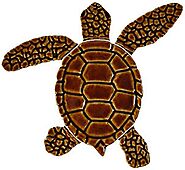 Loggerhead Turtle Swimming pool mosaic tiles Baby Brown – ceramicmosaicart.com