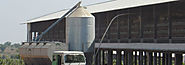 Poultry Feed Silo