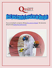 Best pest control services in Sharjah
