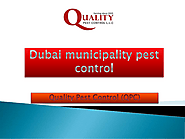 Dubai municipality pest control
