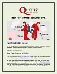Best Pest Control in Dubai UAE