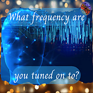 #228 What frequency are you tuned on to? | Can DO Mindset