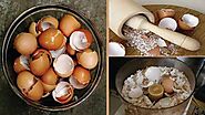 An Ingenious Eggshell Remedy and 25 Others Made from Things People Usually Throw Away