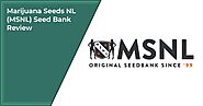 MSNL Seed Bank Review in 2022 - Is it Legit? [My experience]