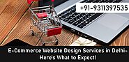 E-Commerce Website Design Services in Delhi