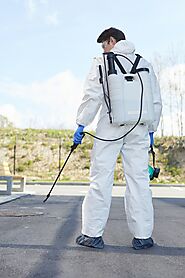 Professional Pest Control Services in Toronto