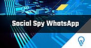 Social Spy WhatsApp Aplikasi Sadap WA Online