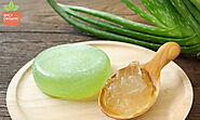 Experts Reveal the Truth About Aloe Vera's Hair Benefits! | Spicy Organic