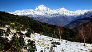 10 Days Ghorepani Poon Hill Trek | Poon Hill Trek in Nepal