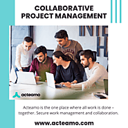 Collaborative project management | Project team management software | Project management and time tracking