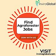 Find agroforester jobs