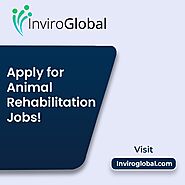 Apply for animal rehabilitation