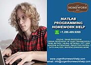 Matlab programming homework help. Matlab programming assignment help.